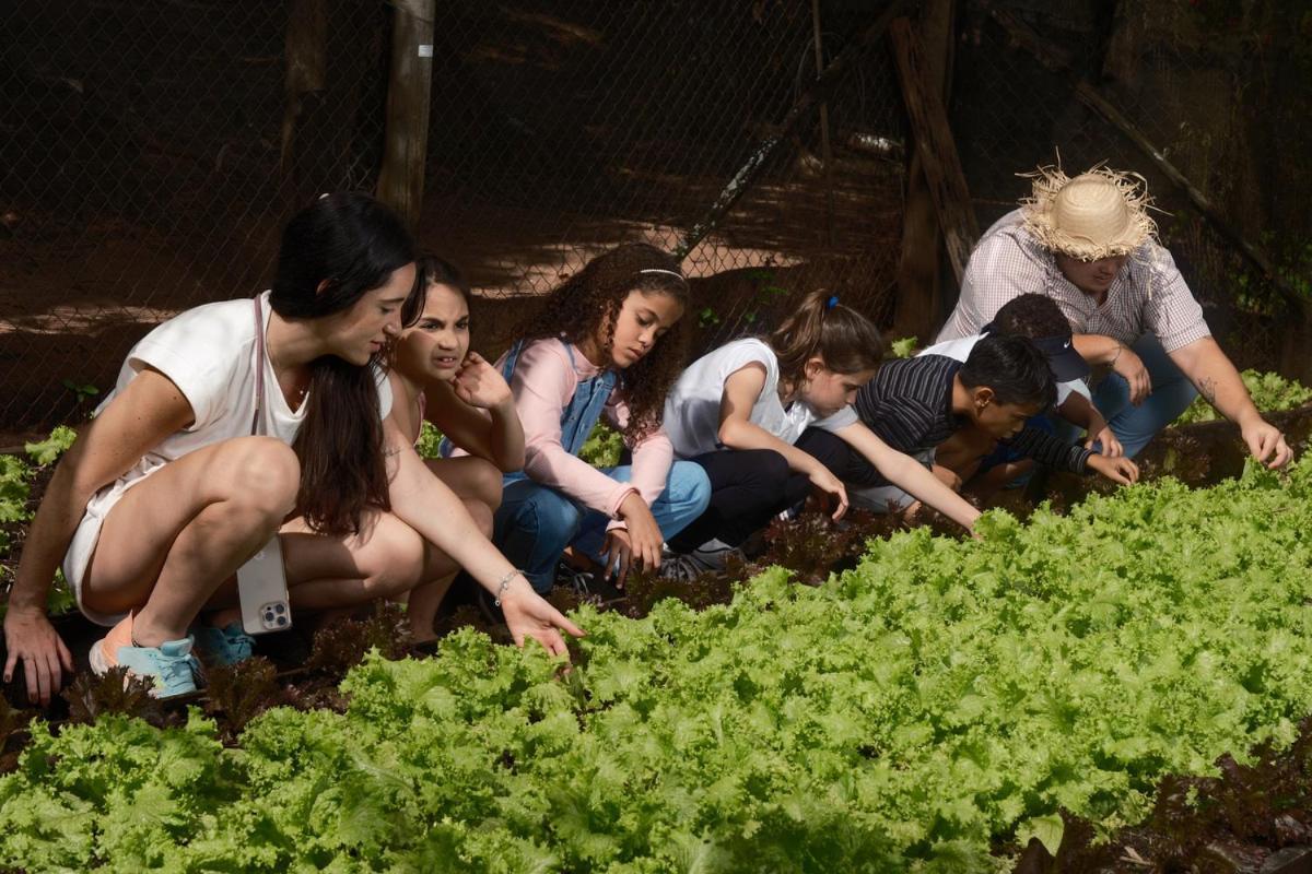 Eco Fazenda *