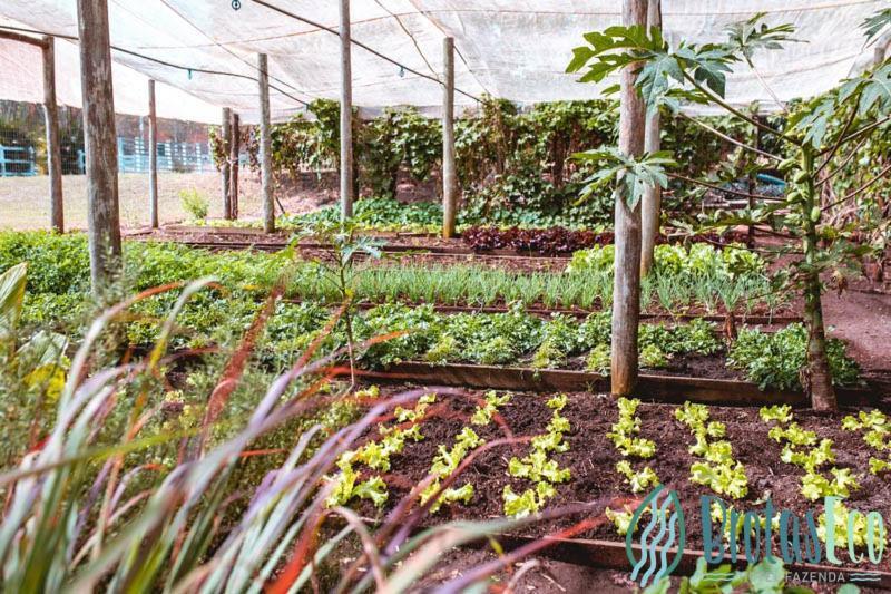 Eco Fazenda * Brotas